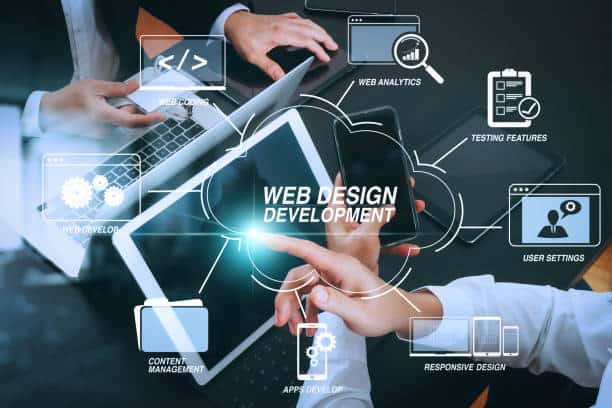 professional website care